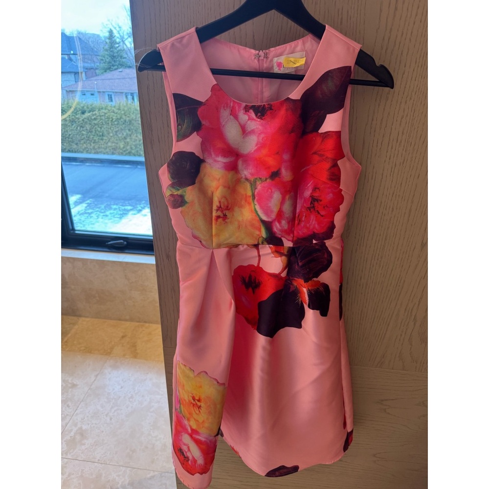 Floral Pink Sleeveless structured Dress